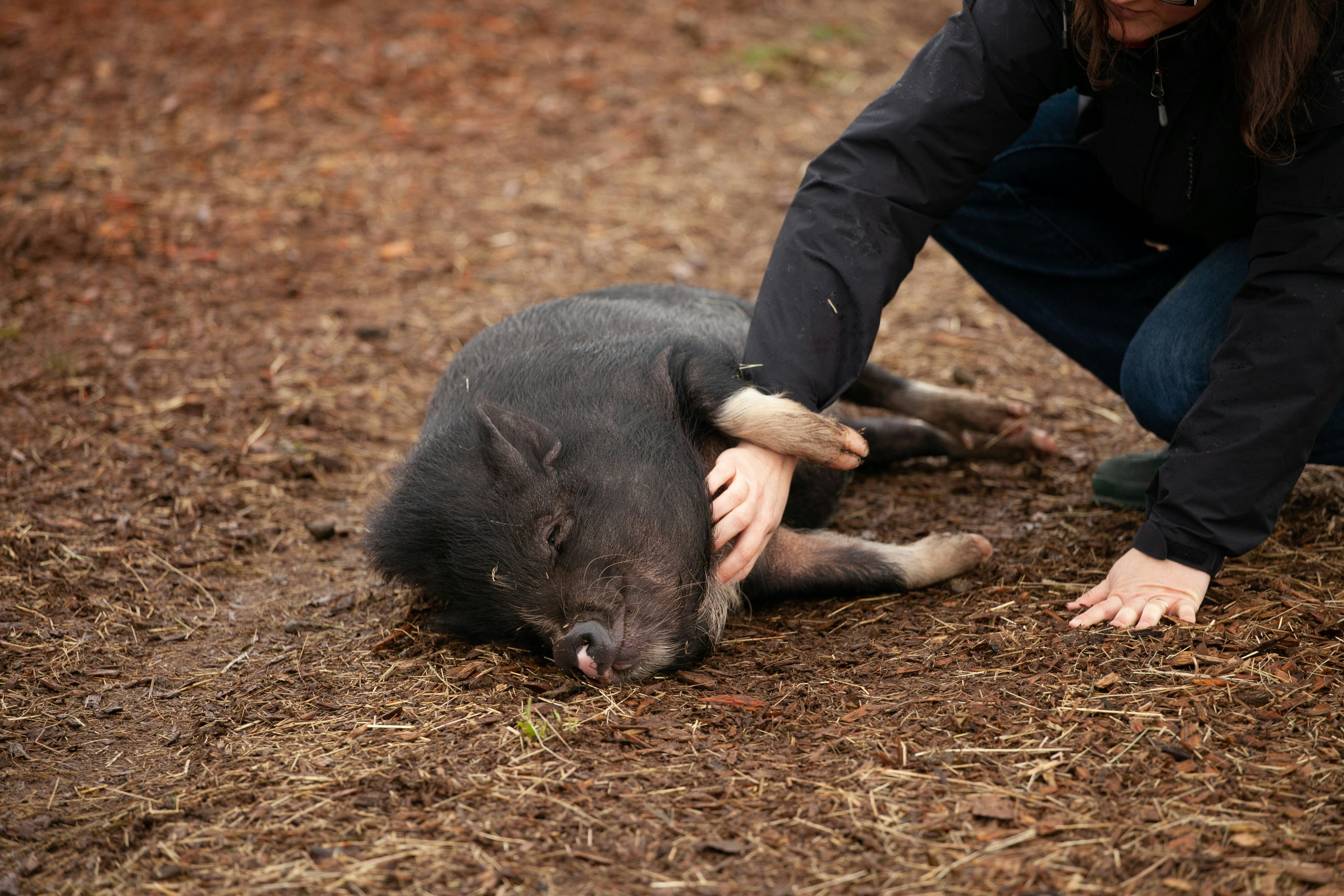 What is veganism?