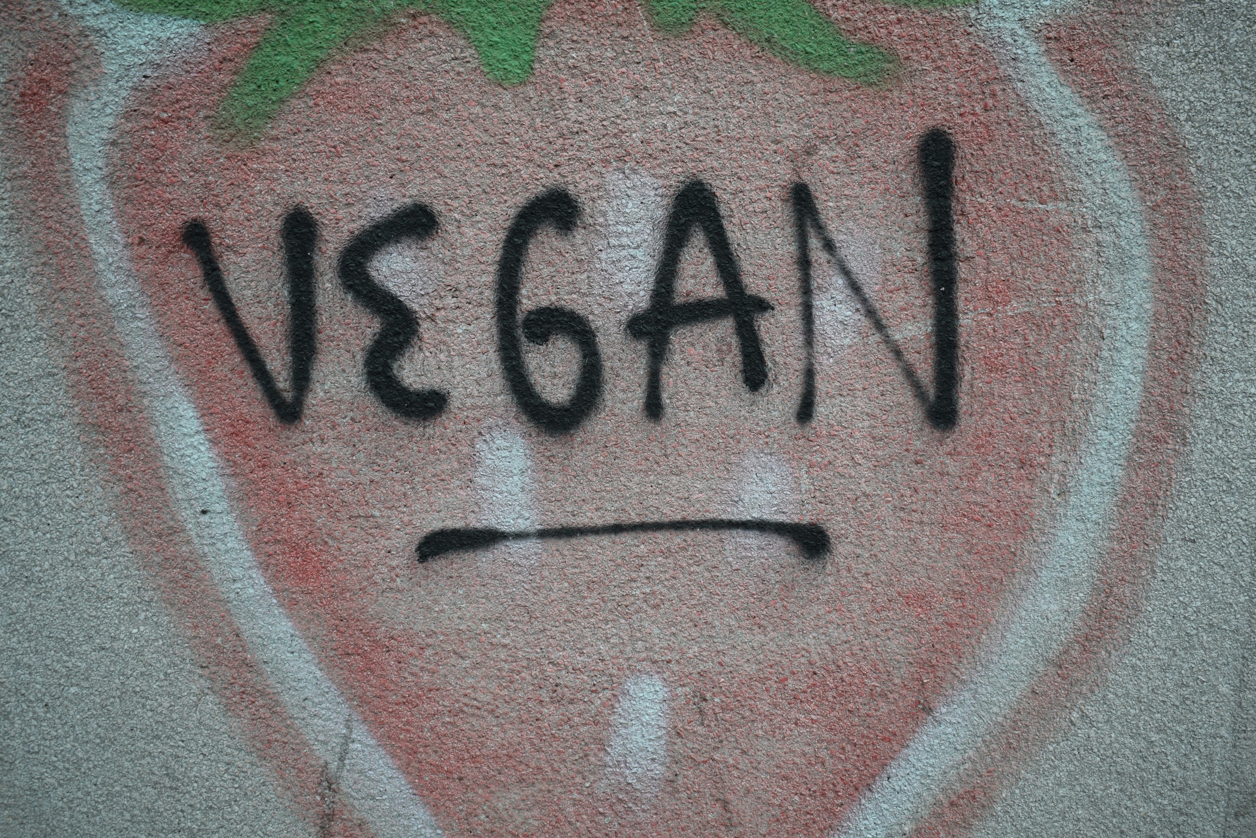 Everyday animal advocacy: 6 simple actions to promote animal rights in your daily life