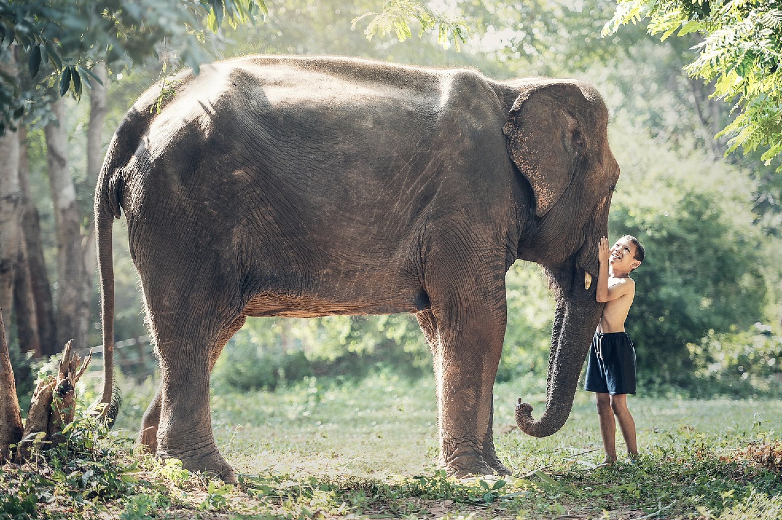 Empowering and engaging younger generations in animal rights activism