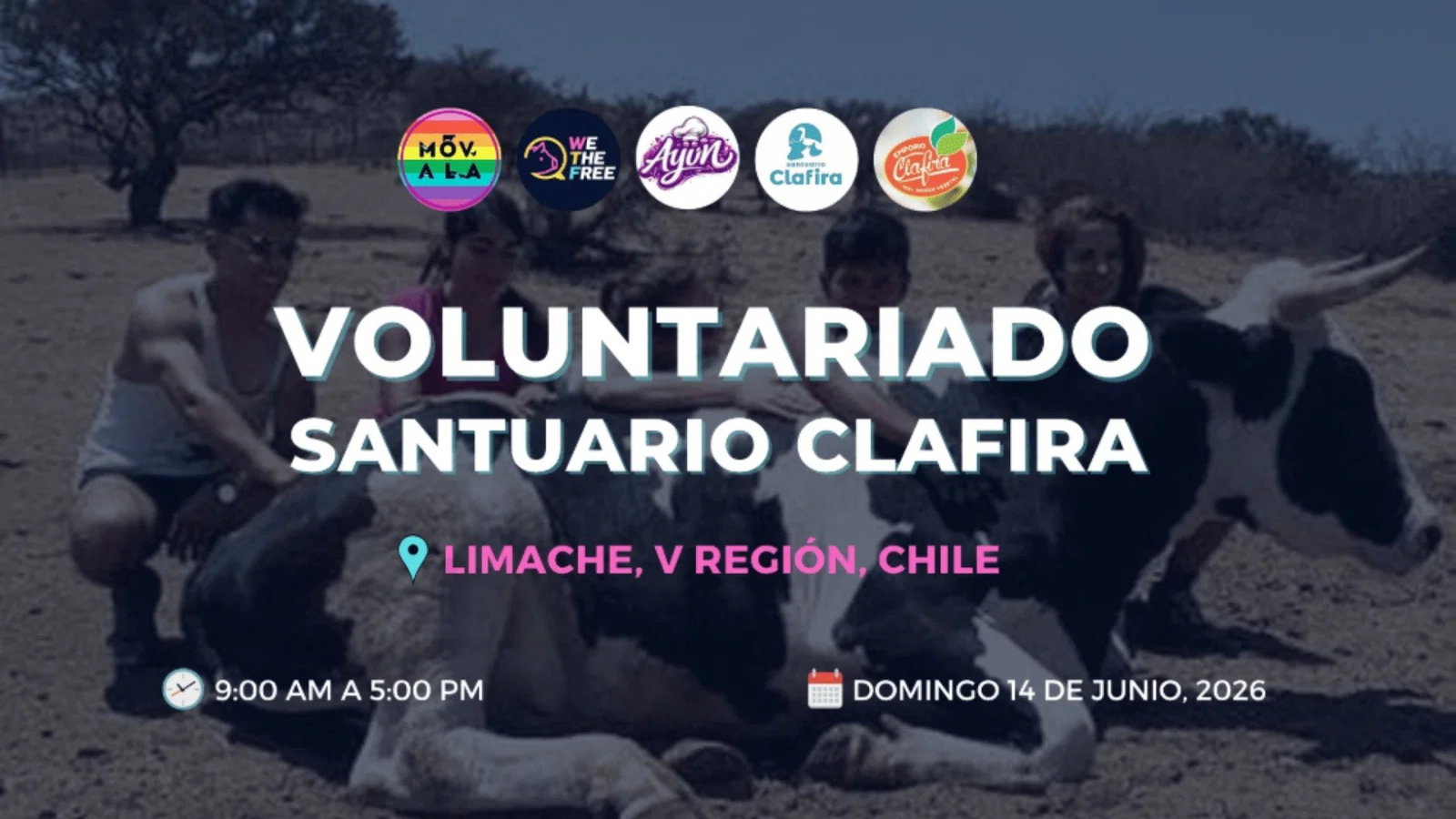 VOLUNTARIADO SANTUARIO CLAFIRA