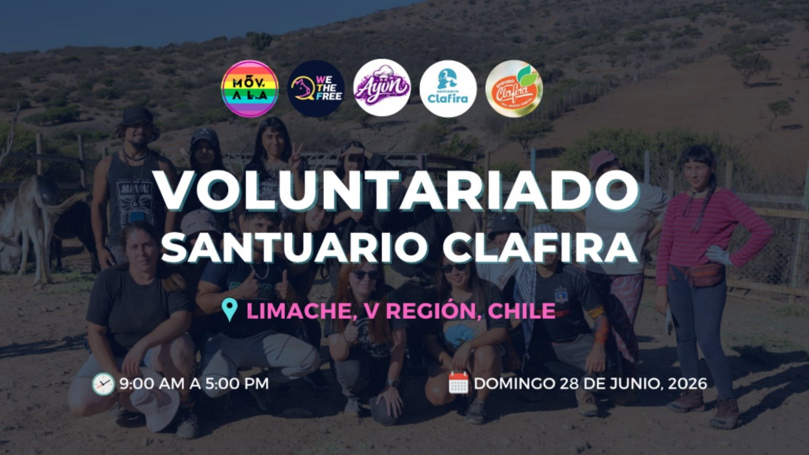 MOVALA & WTF: Región de Valparaíso, Chile - Voluntariado