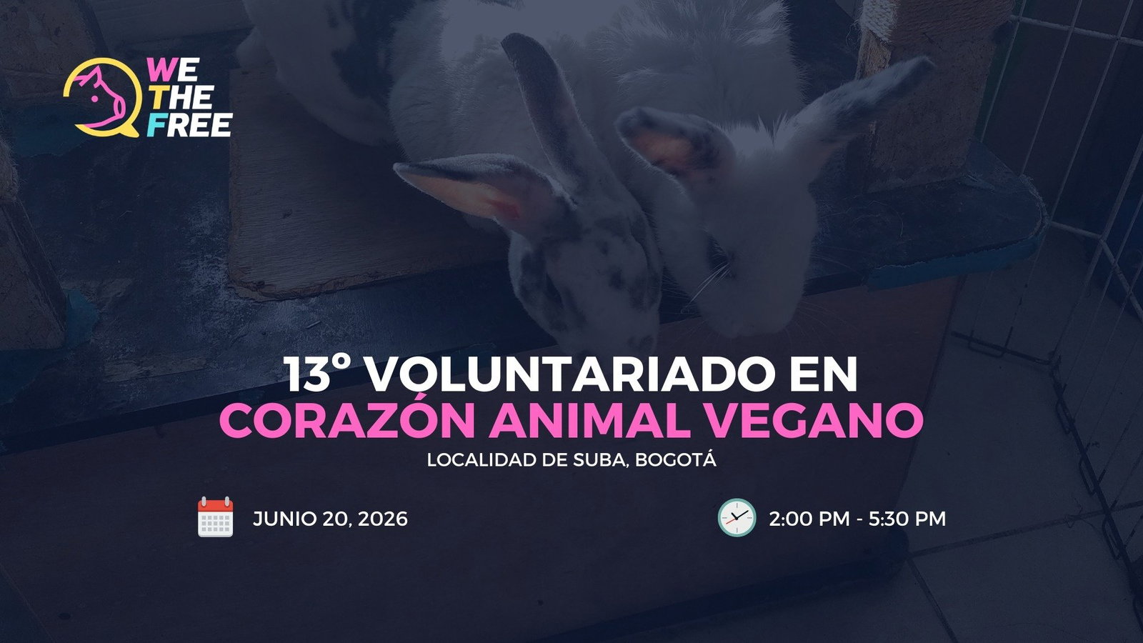 WTF: Bogota, Colombia - Social, 20 de junio de 2026