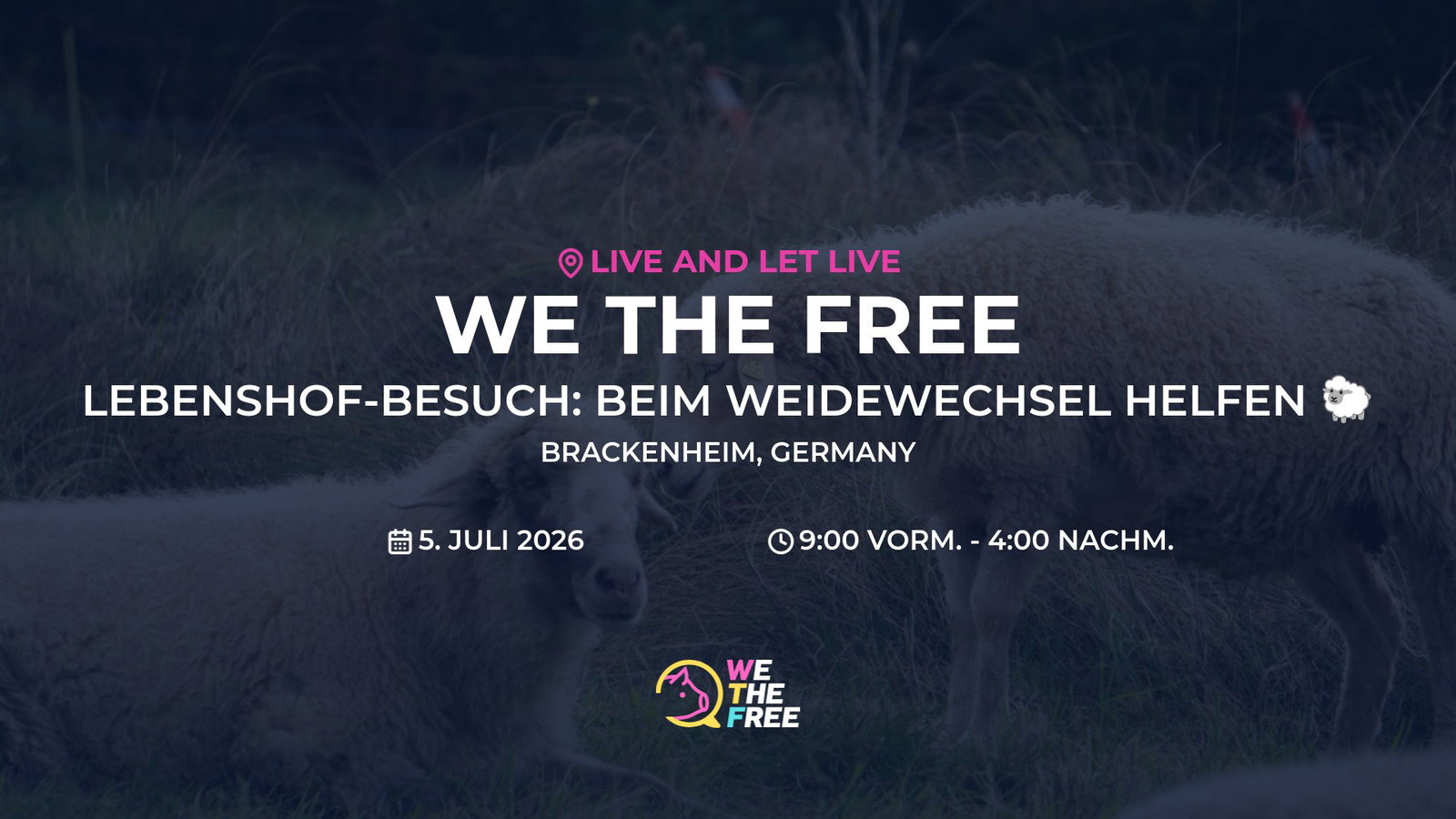 Lebenshof-Besuch: Beim Weidewechsel helfen 🐑