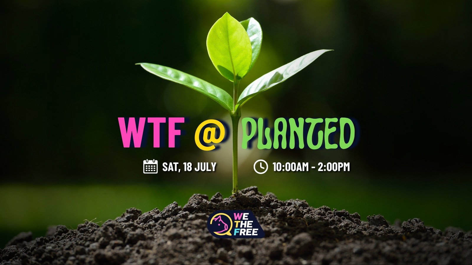 WTF Perth at PLANTED 🌿