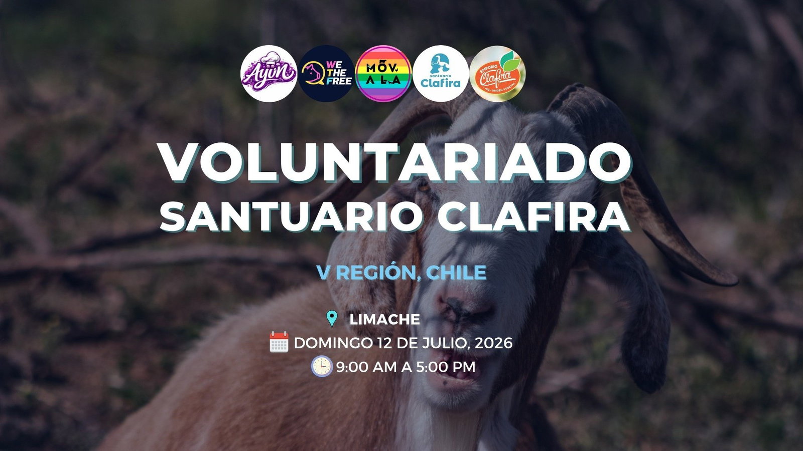 Voluntariado Santuario