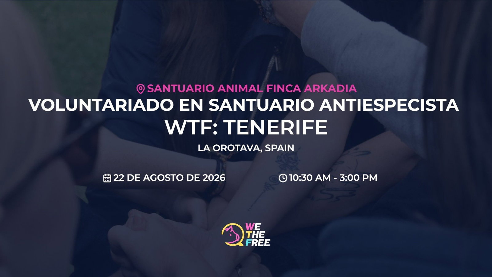 WTF: Tenerife