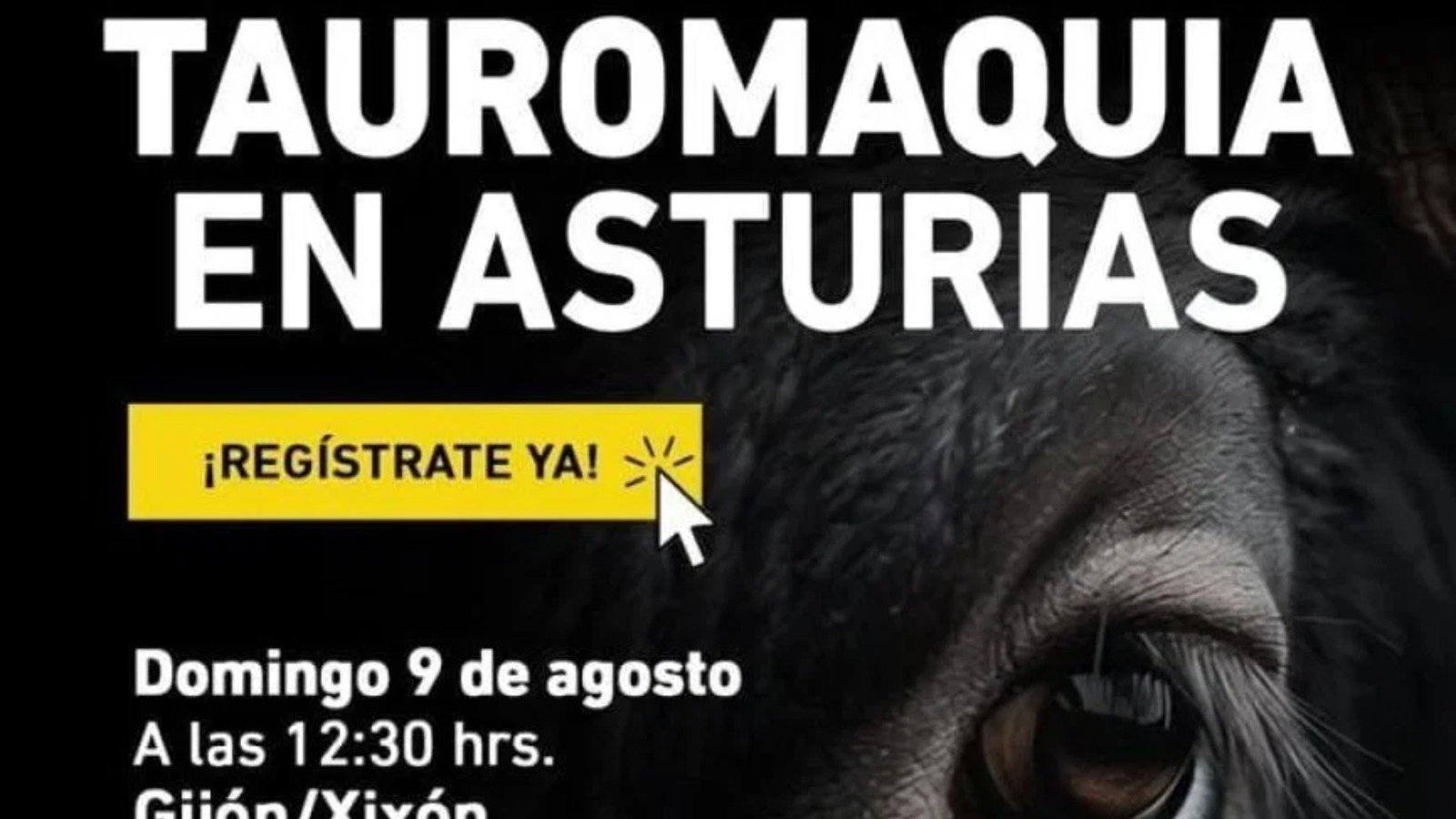 WTF: Oviedo, Spain - Other Street Outreach Event, 9 de agosto de 2026
