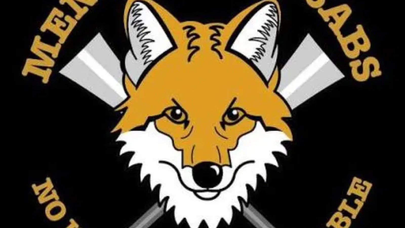 MENDIP HUNT SABOTEURS INFORMATION STALL