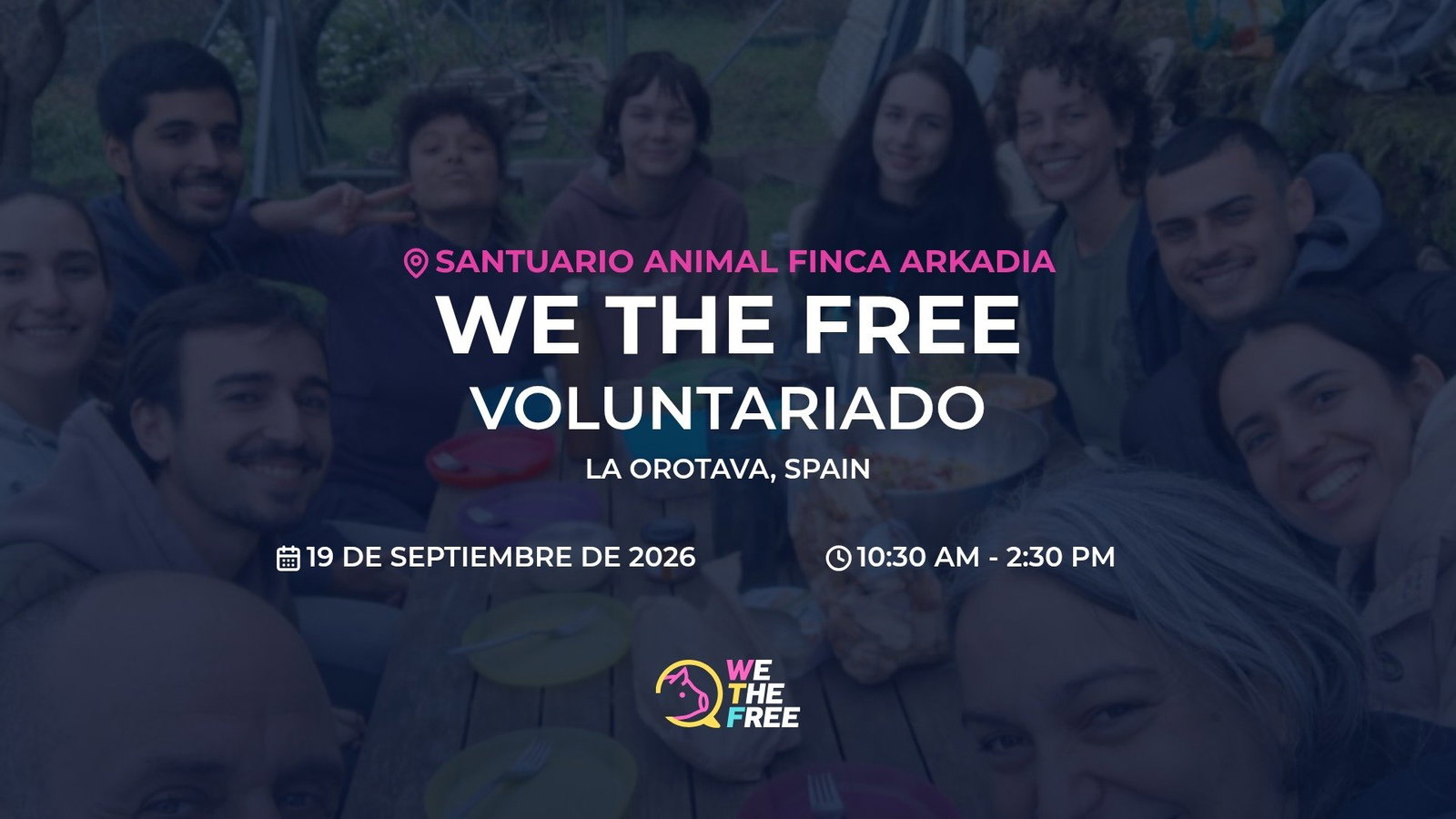 Voluntariado
