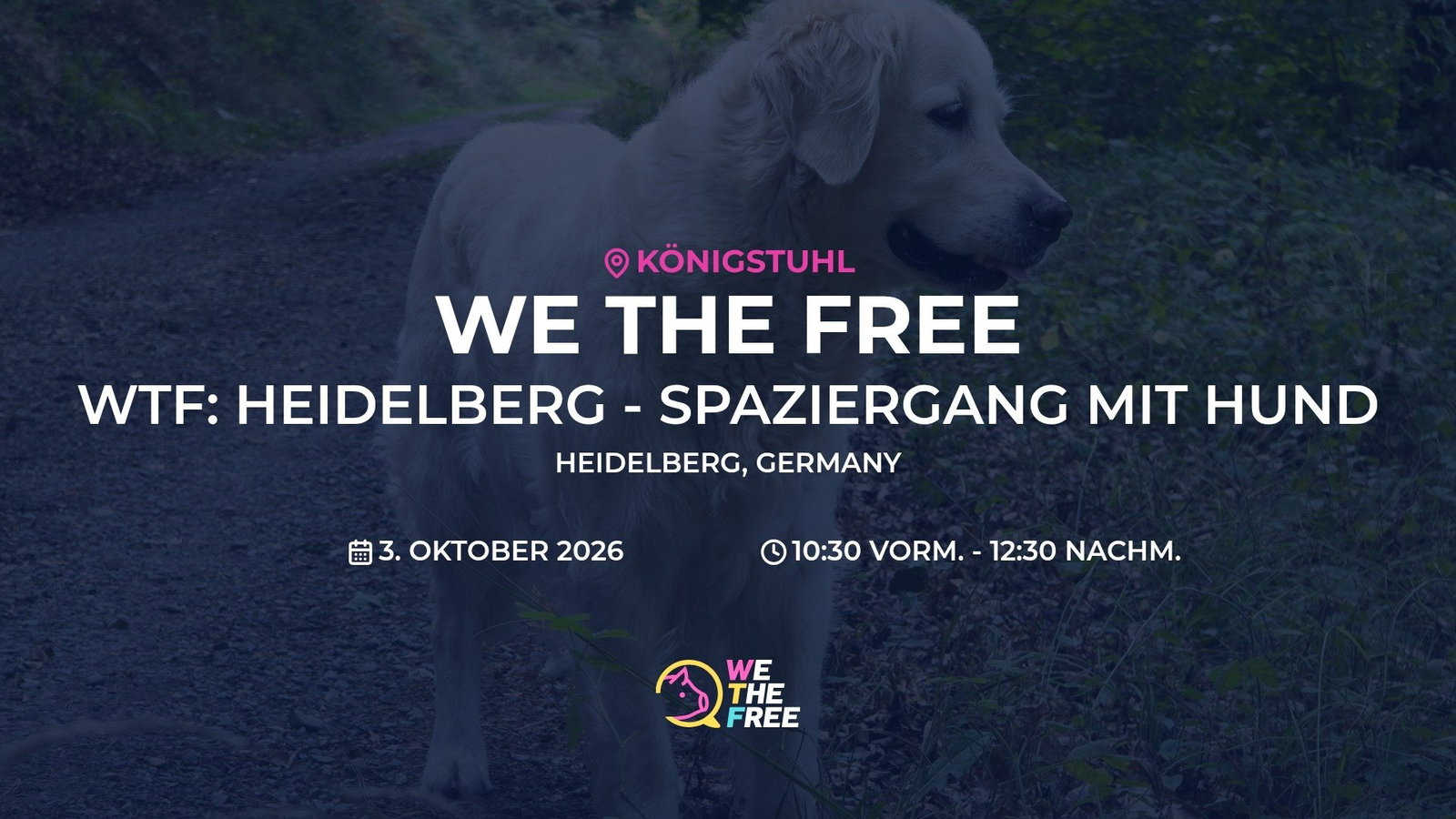 WTF: Heidelberg - Spaziergang mit Hund