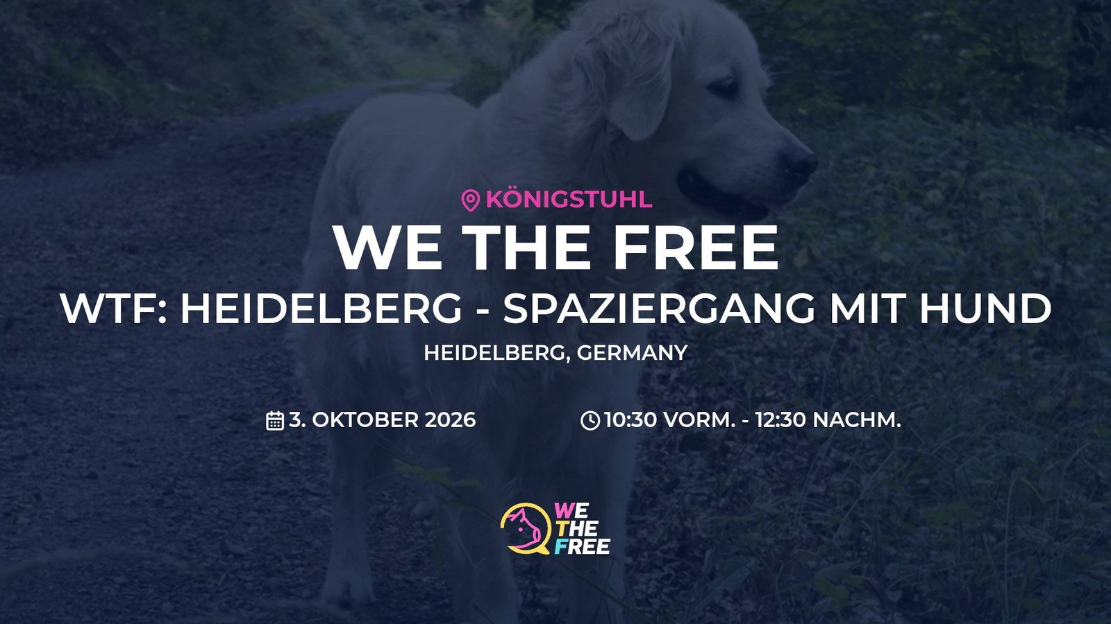WTF: Heidelberg - Spaziergang mit Hund