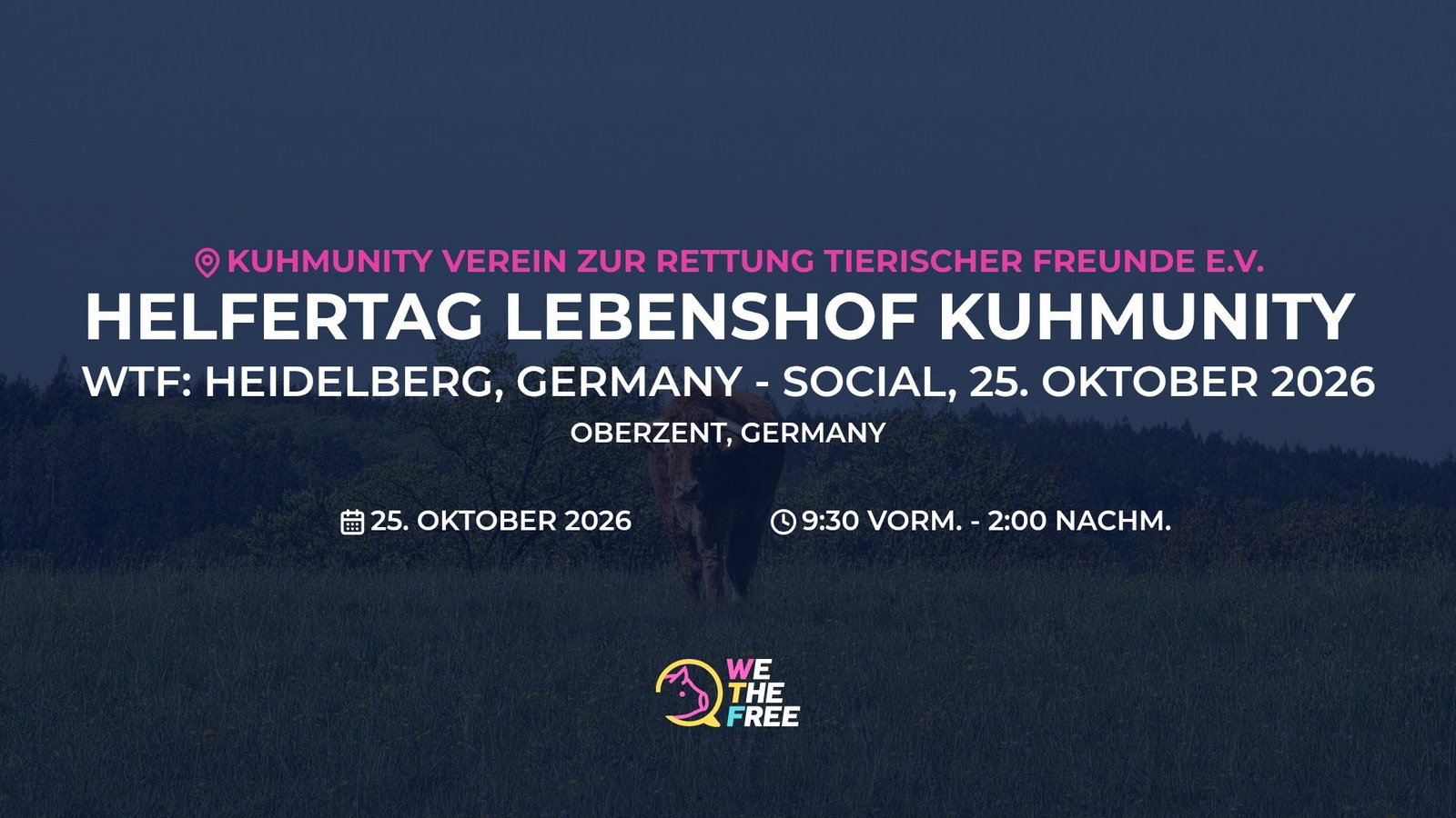 WTF: Heidelberg, Germany - Social, 25. Oktober 2026