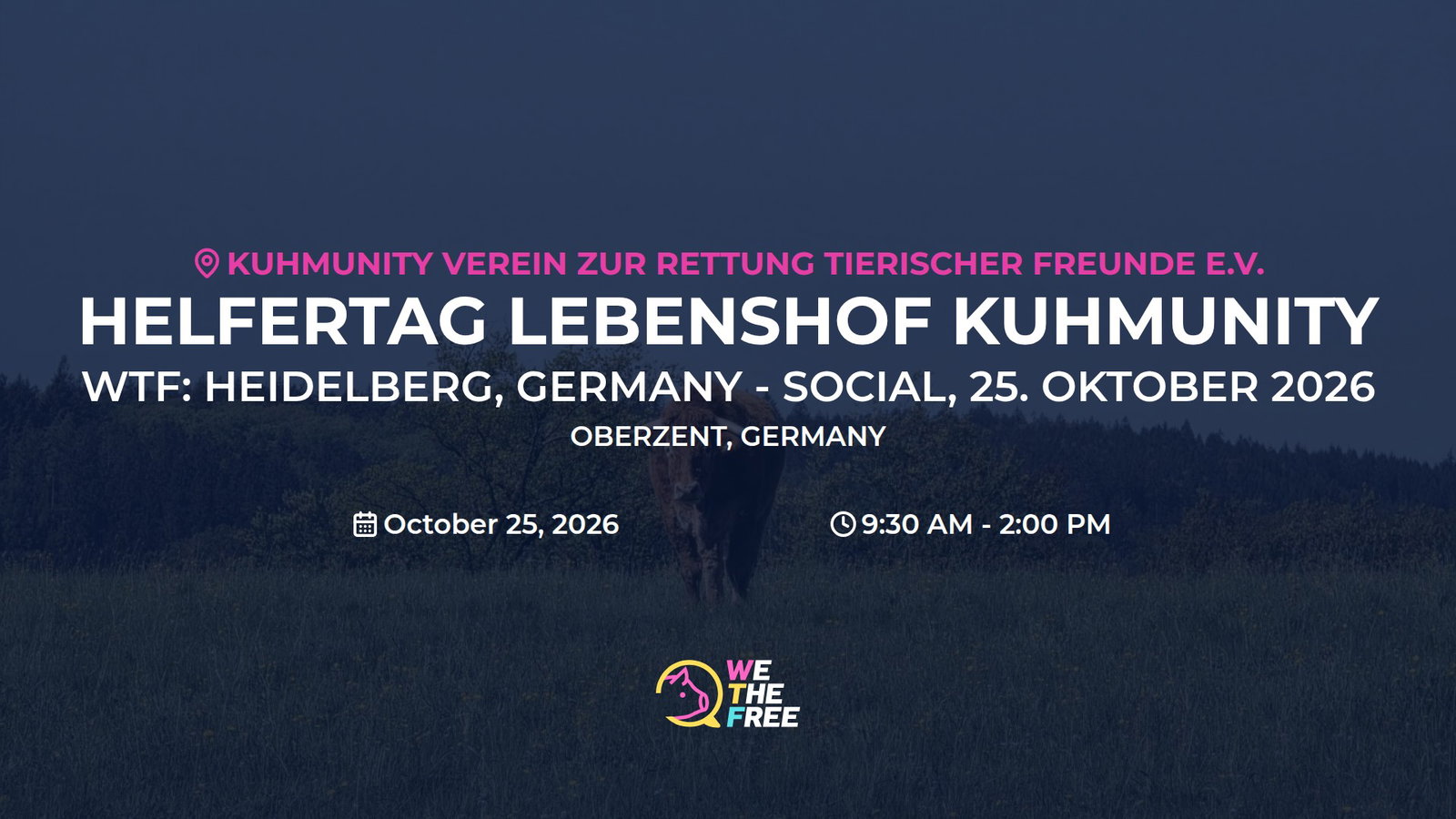 WTF: Heidelberg, Germany - Social, 25. Oktober 2026