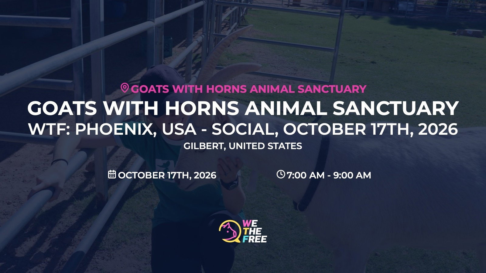 WTF: Phoenix, USA - Social, October 17th, 2026