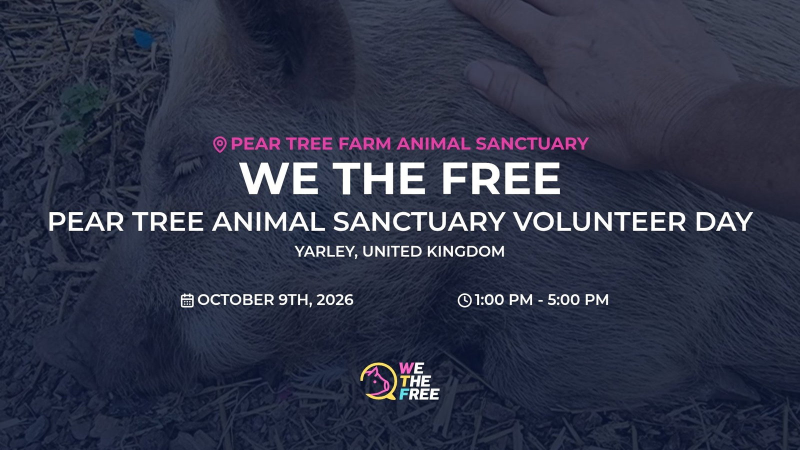 PEAR TREE ANIMAL SANCTUARY VOLUNTEER DAY