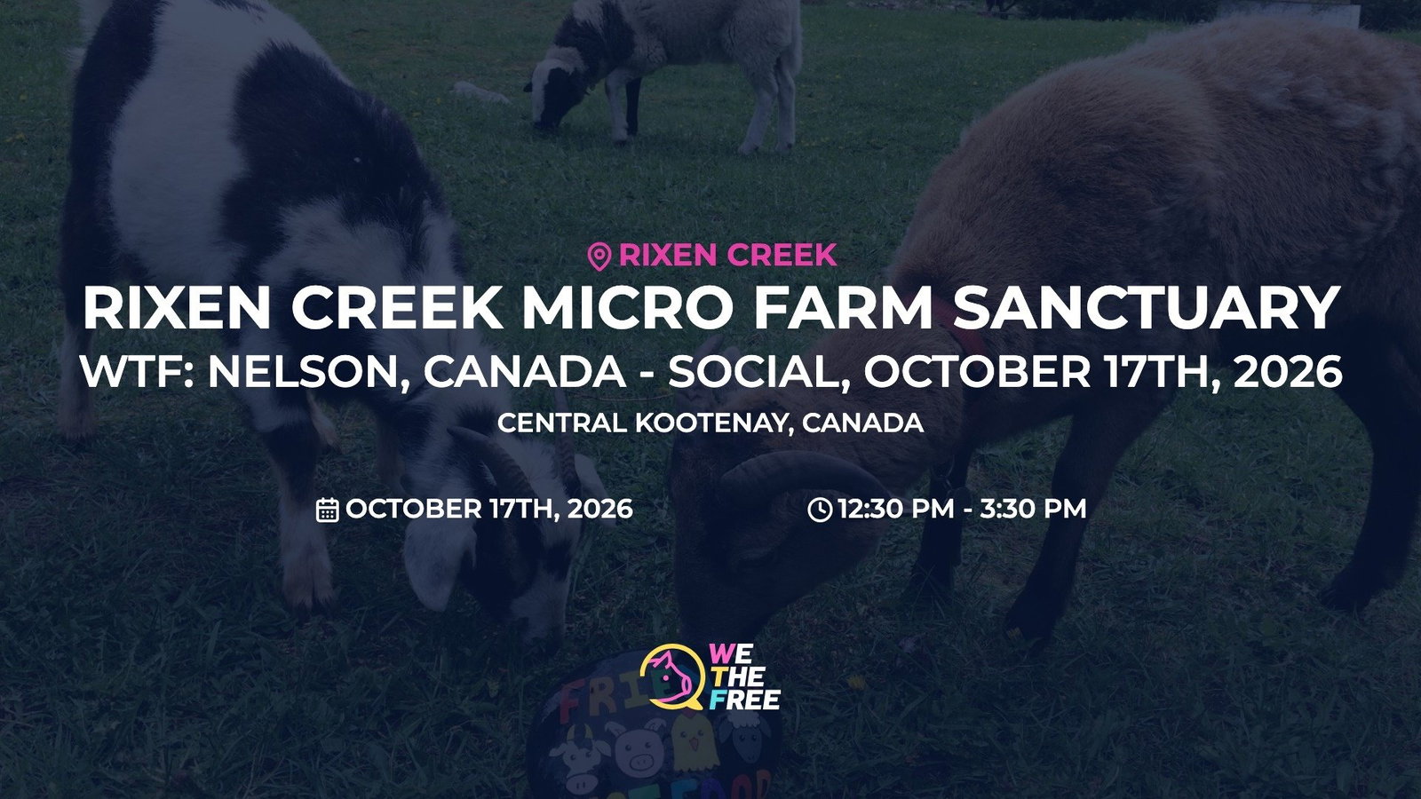 WTF: Nelson, Canada - Social, October 17th, 2026