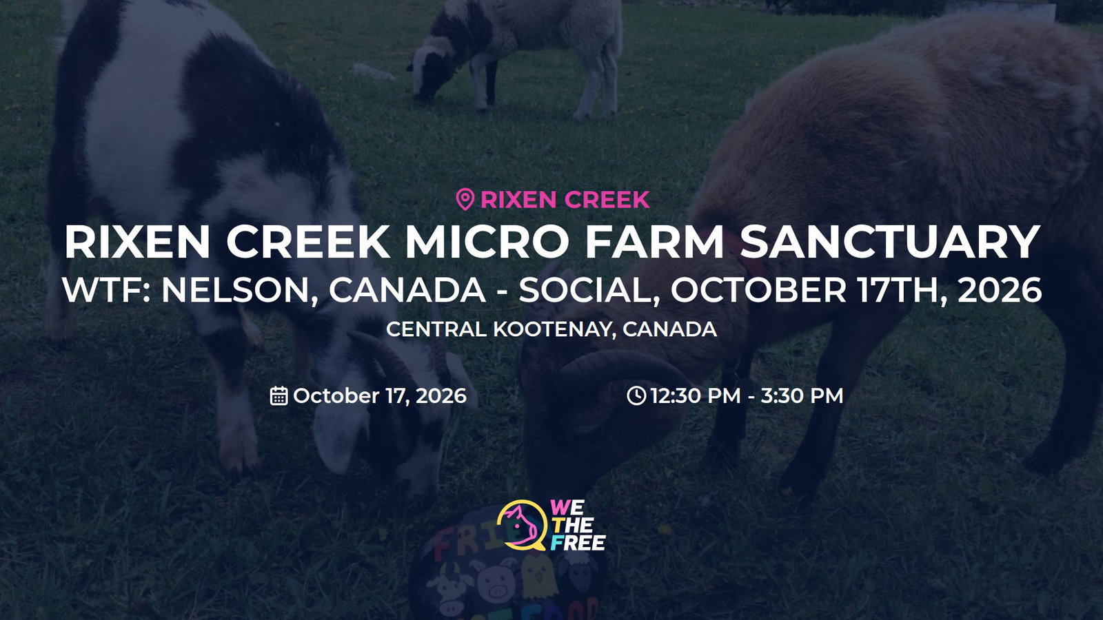 WTF: Nelson, Canada - Social, October 17th, 2026