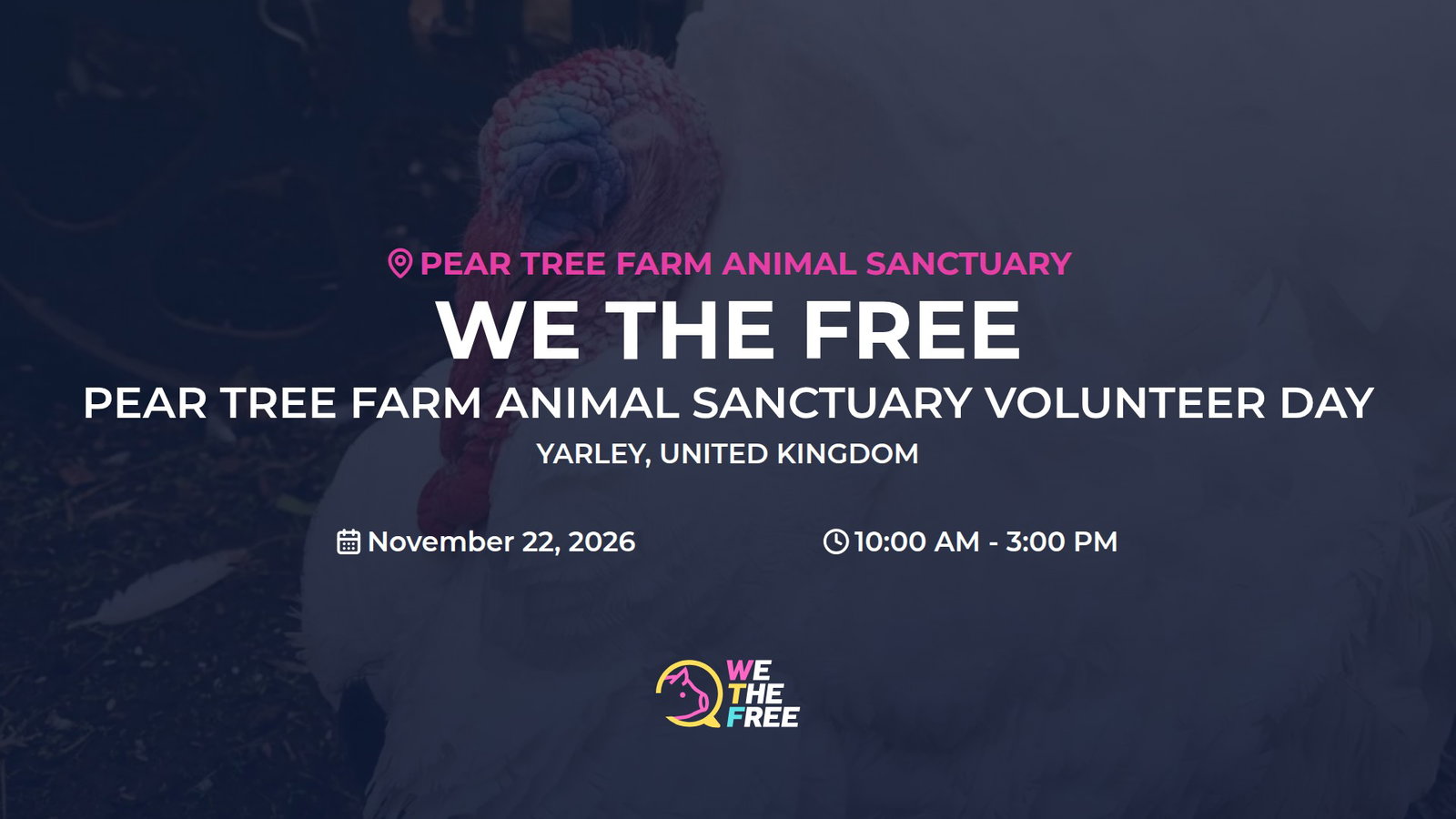 PEAR TREE FARM ANIMAL SANCTUARY VOLUNTEER DAY