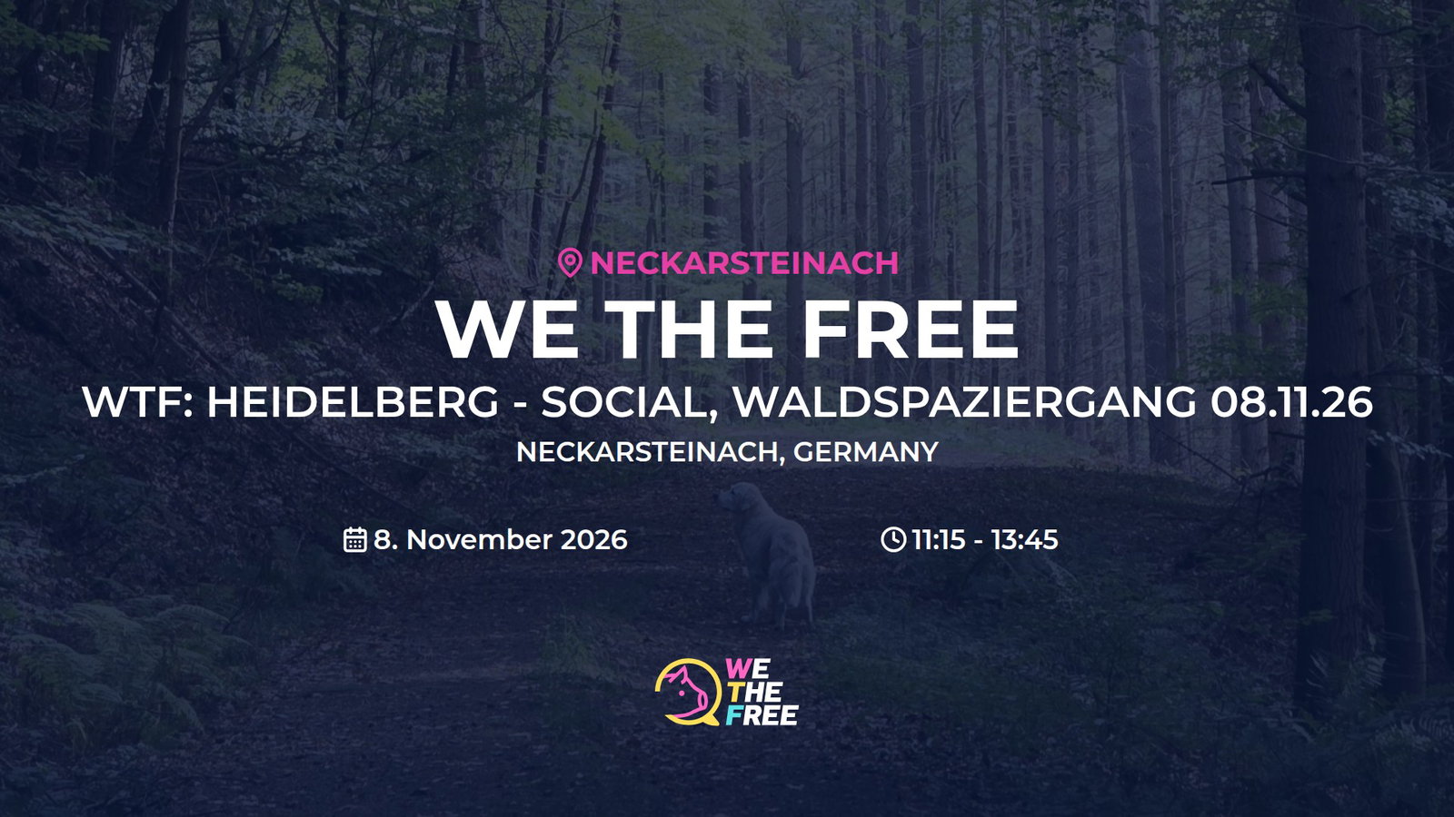 WTF: Heidelberg - Social, Waldspaziergang 08.11.26