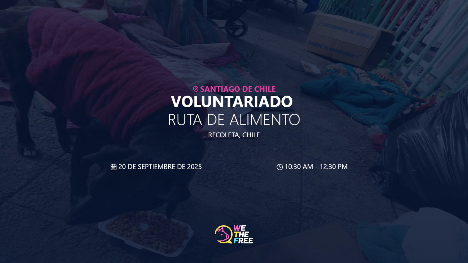 RUTA DE ALIMENTO