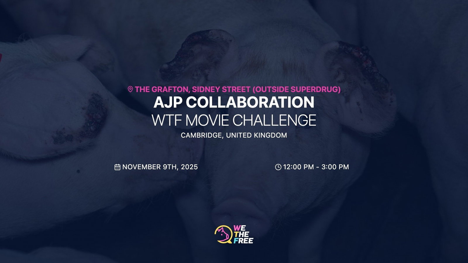 WTF: Cambridge, UK - WTF x AJP Movie Challenge, November 9th, 2025