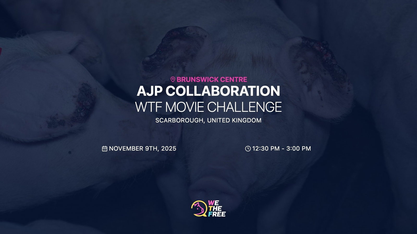 WTF: Scarborough, England - WTF Movie Challenge, November 9th, 2025