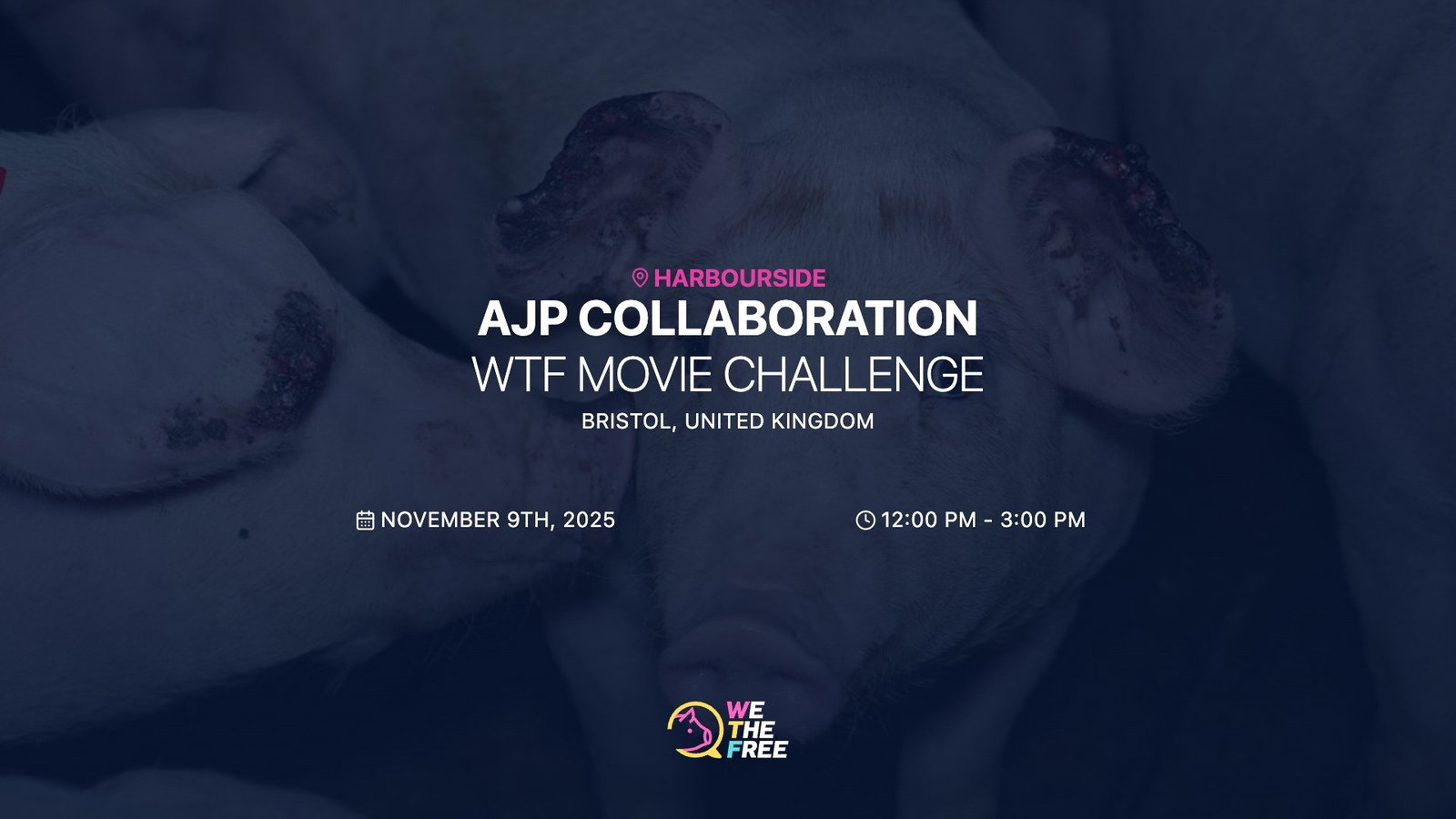 WTF: Bristol, England - WTF x AJP Movie Challenge, November 9th, 2025