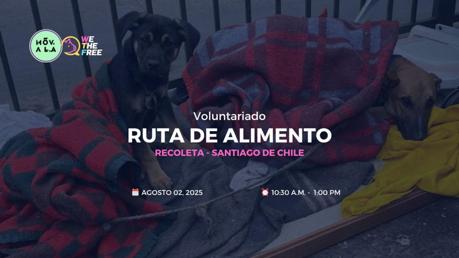 WTF: MOVALA, Chile - Social, 2 de agosto de 2025