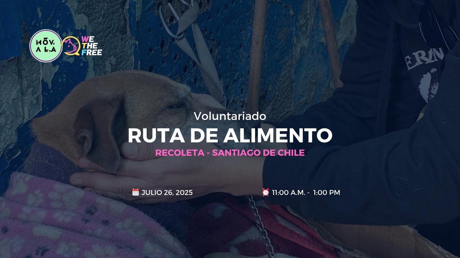 WTF: MOVALA, Chile - Social, 26 de julio de 2025