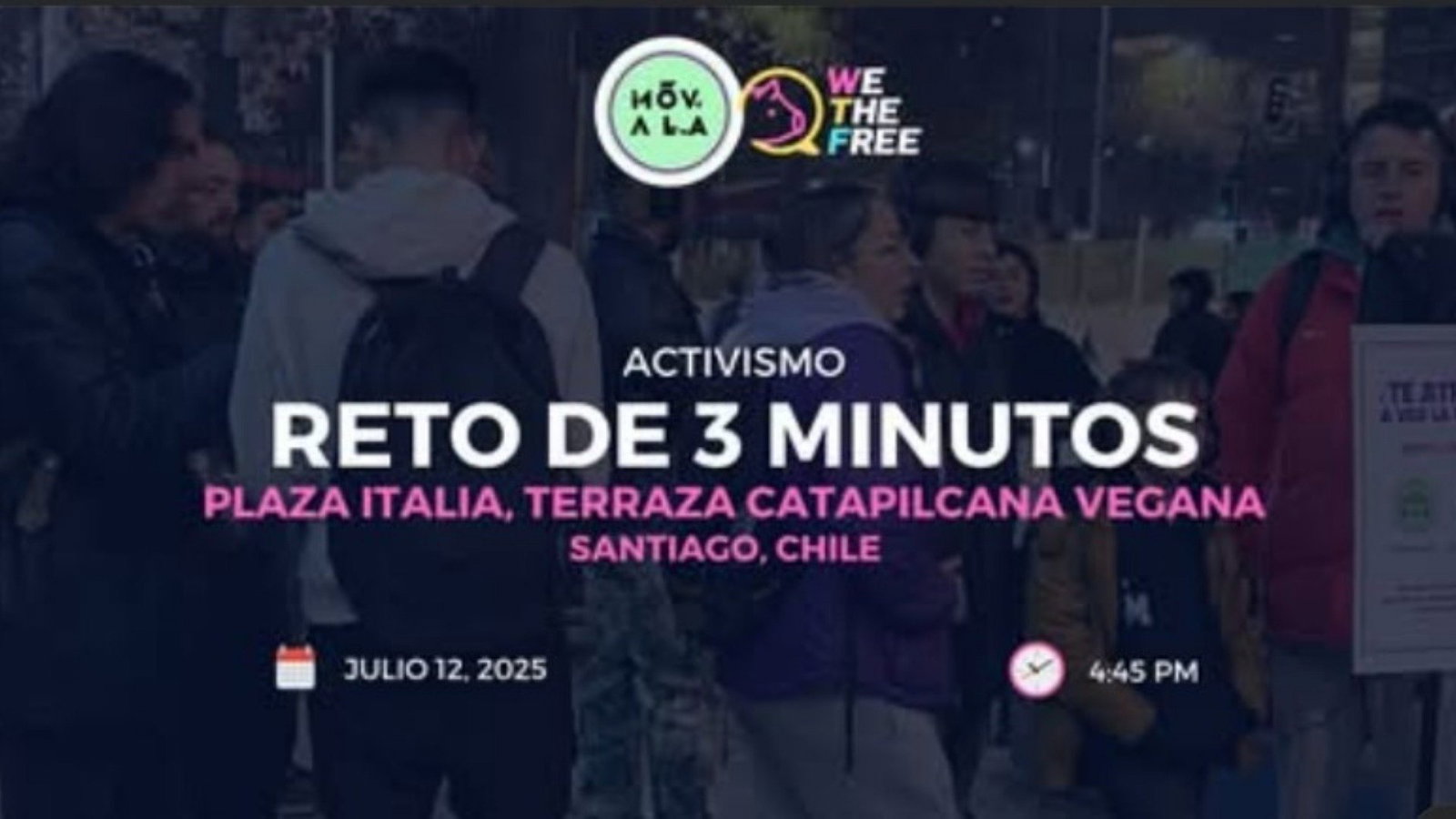 WTF: MOVALA, Chile - WTF Movie Challenge, 12 de julio de 2025