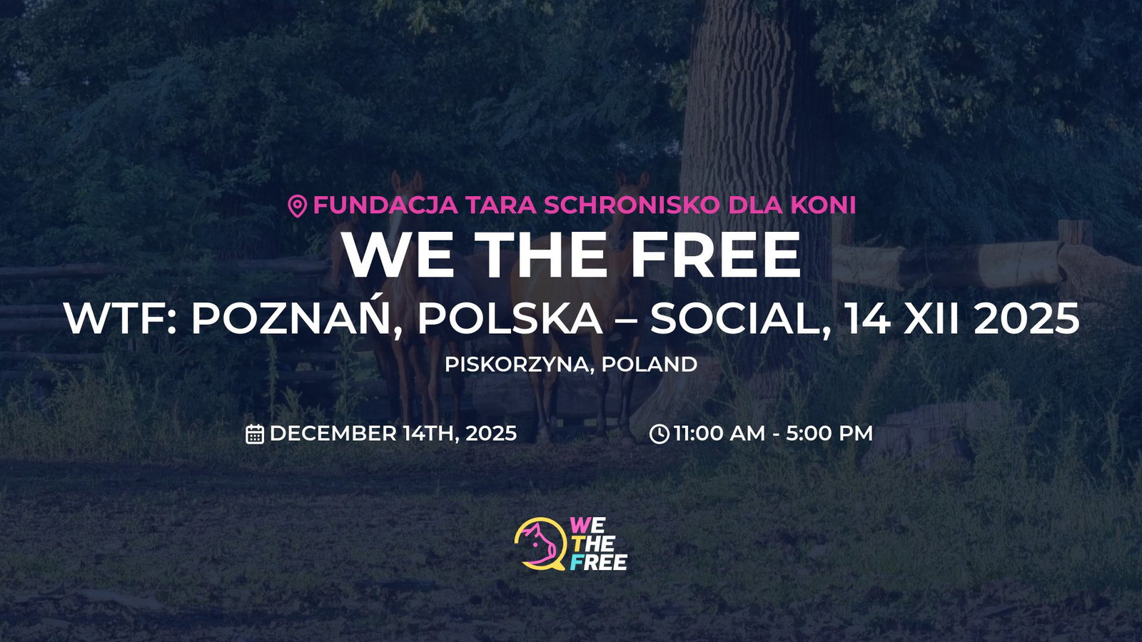 WTF: Poznań, Polska – Social, 14 XII 2025