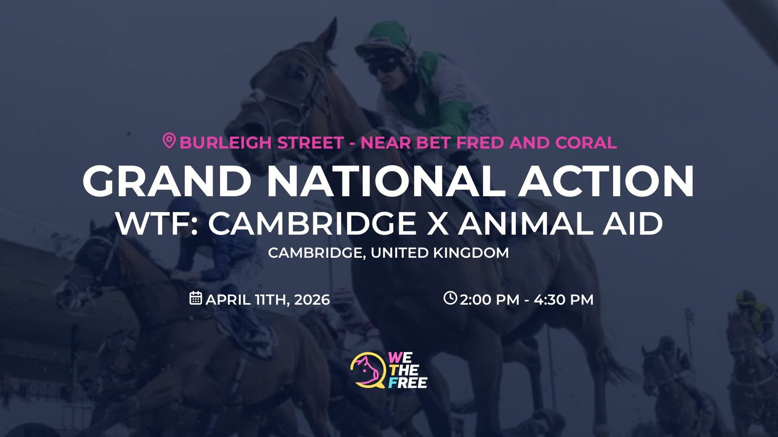 WTF: Cambridge x Animal Aid