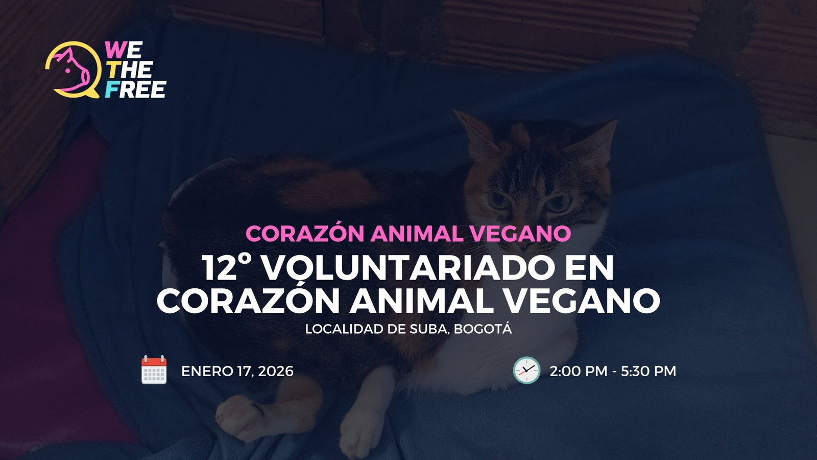 Voluntariado en Corazón Animal Vegano - WTF: Bogota, Colombia - Enero 17, 2026