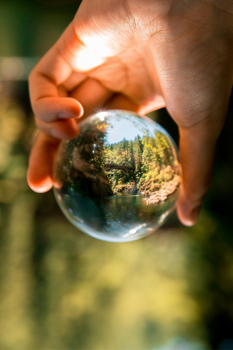 A glass sphere held up in a forest, reflecting the trees
