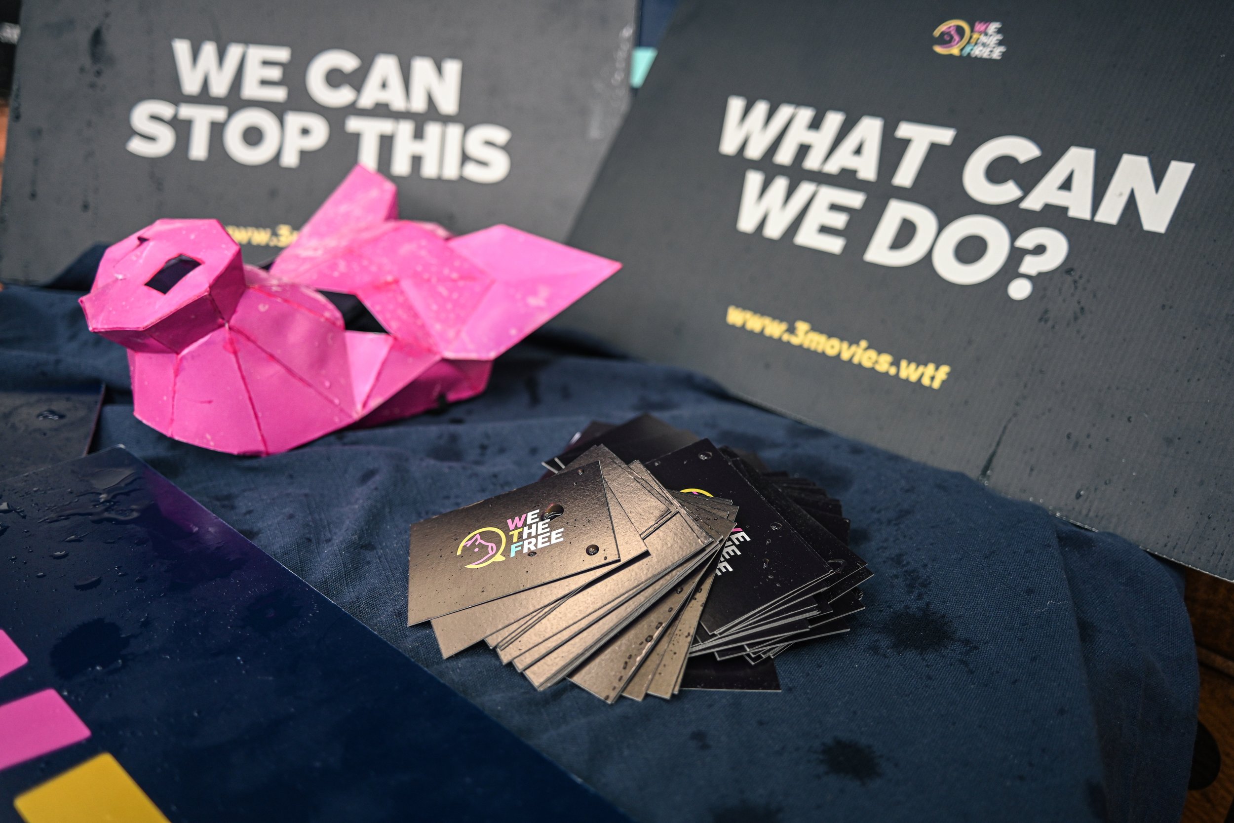 A rain-spattered outreach stall with "We can stop this" and "What can we do?" boards, a pink origami pig and a stack of We The Free cards