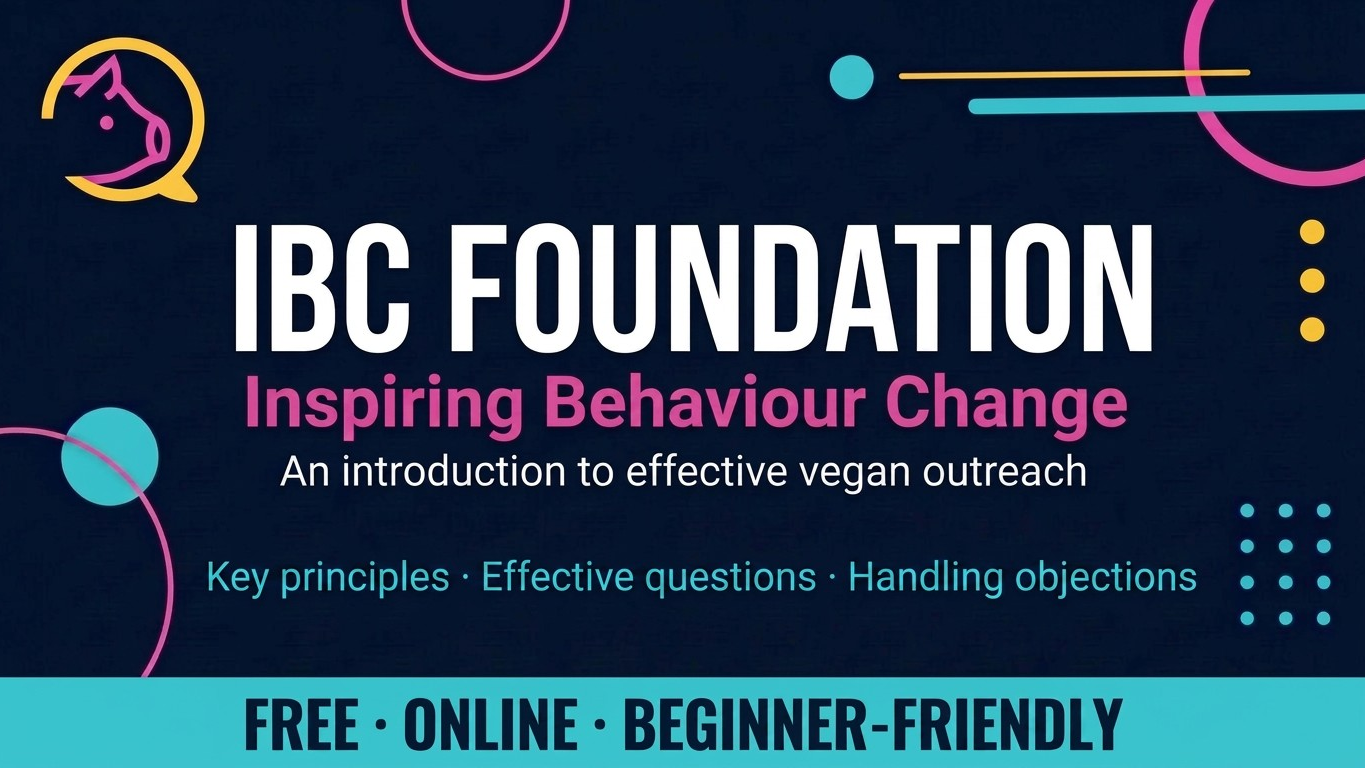 Curso intensivo de activismo vegano