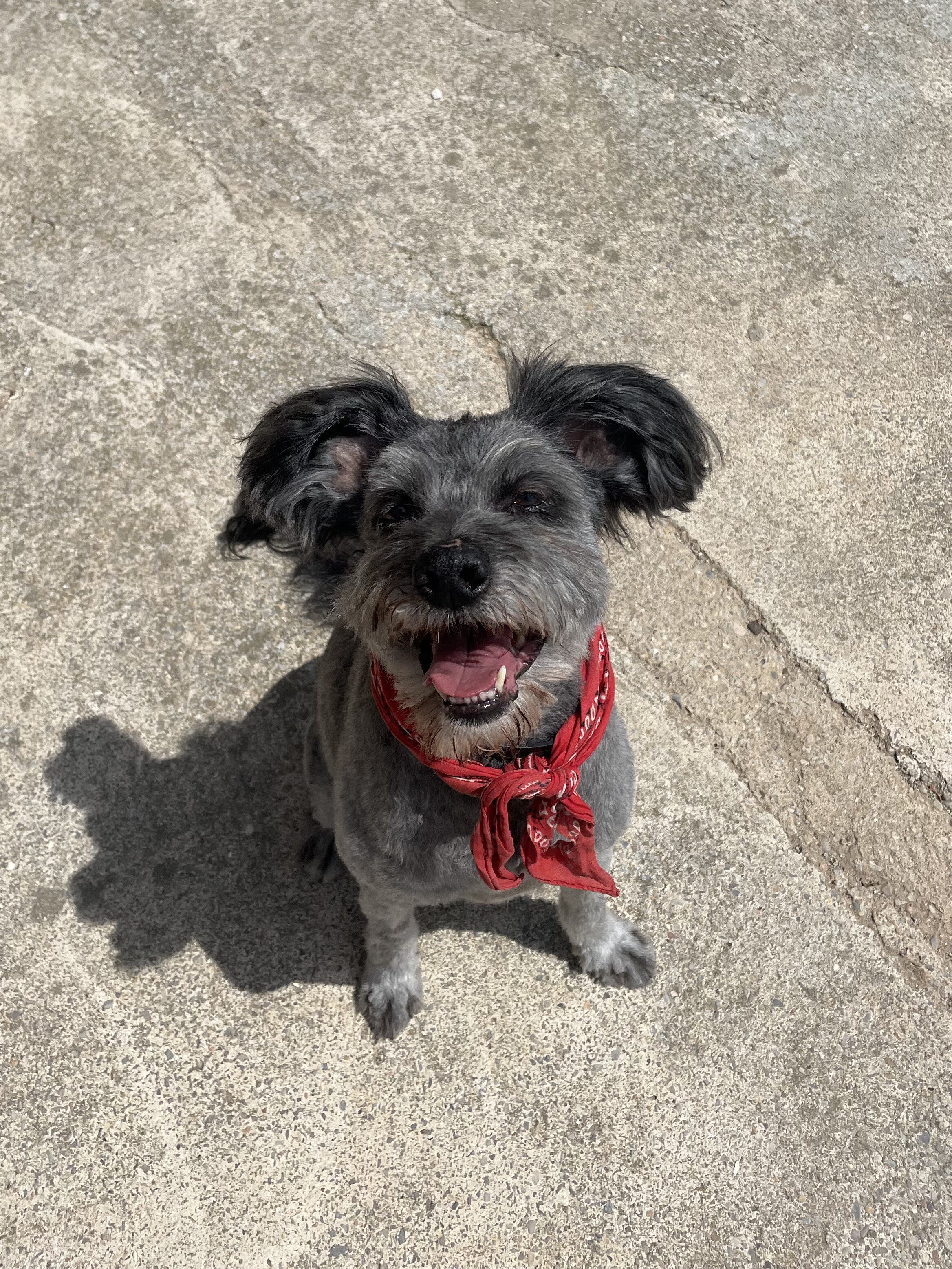 Archie