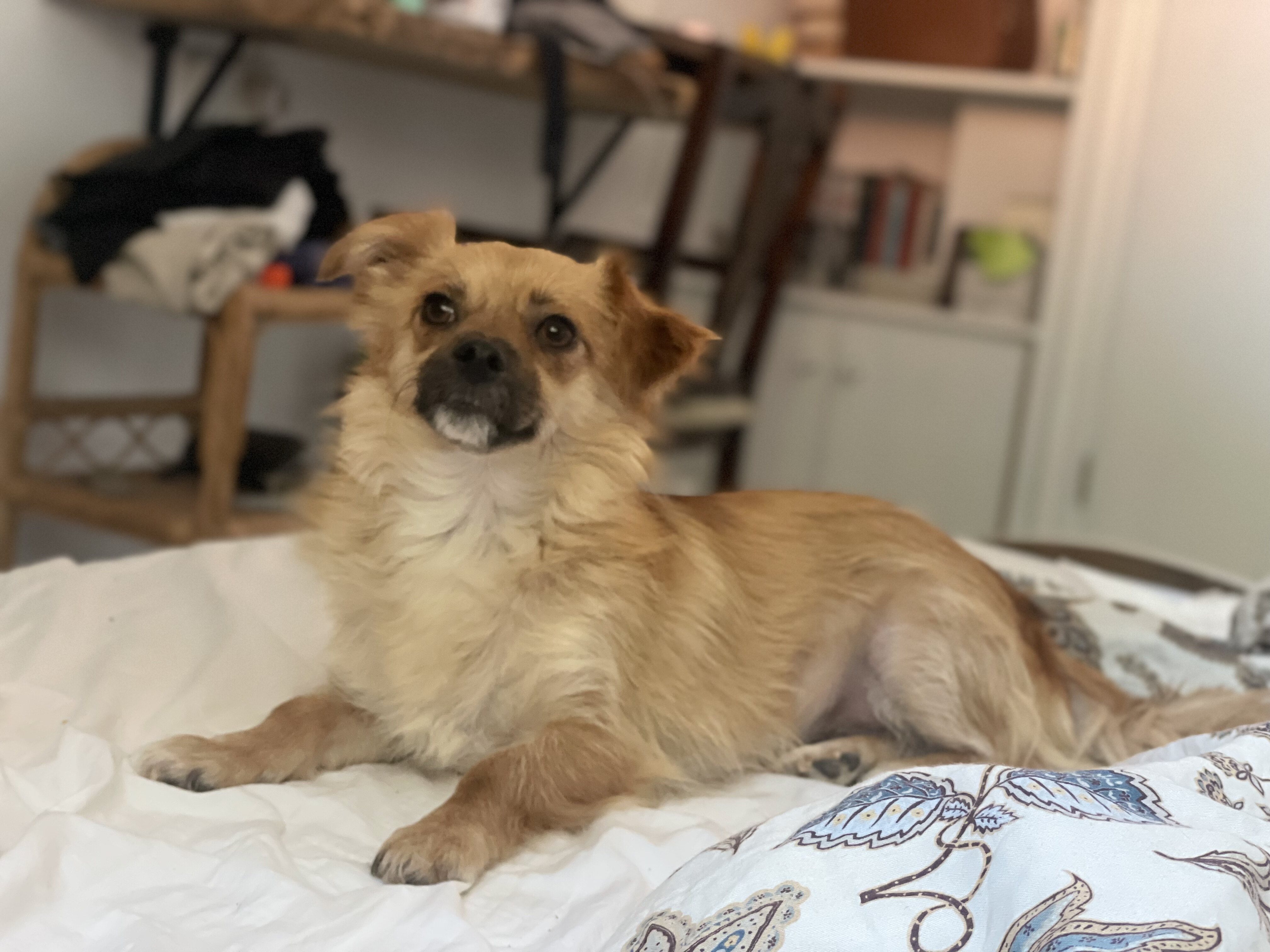 Minnie